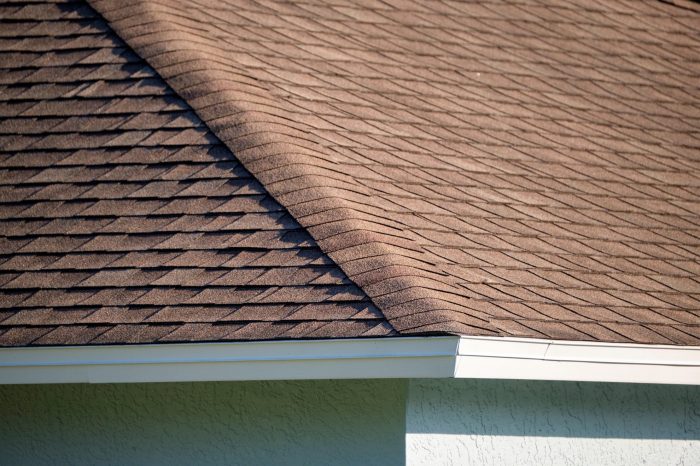 Closeup of roof illustrates blog "What Causes Roof Algae? "