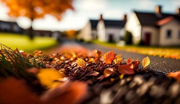Fallen leaves with houses in the background illustrate blog "Can Fallen Leaves Damage Your Roof?"