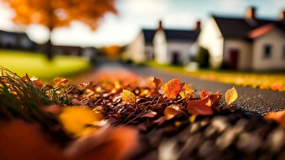 Fallen leaves with houses in the background illustrate blog "Can Fallen Leaves Damage Your Roof?"