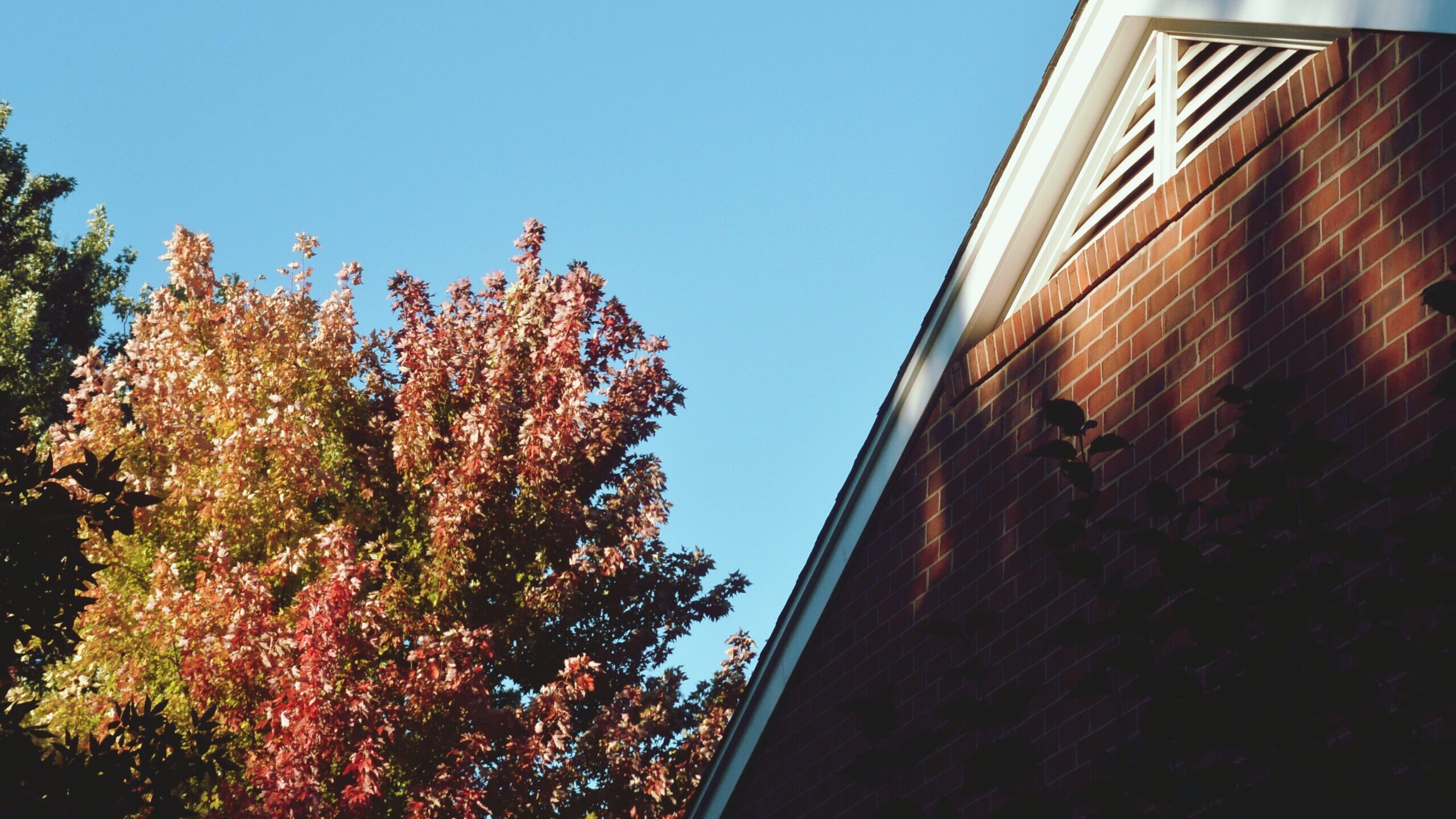 low-angle-view-building-against-clear-sky