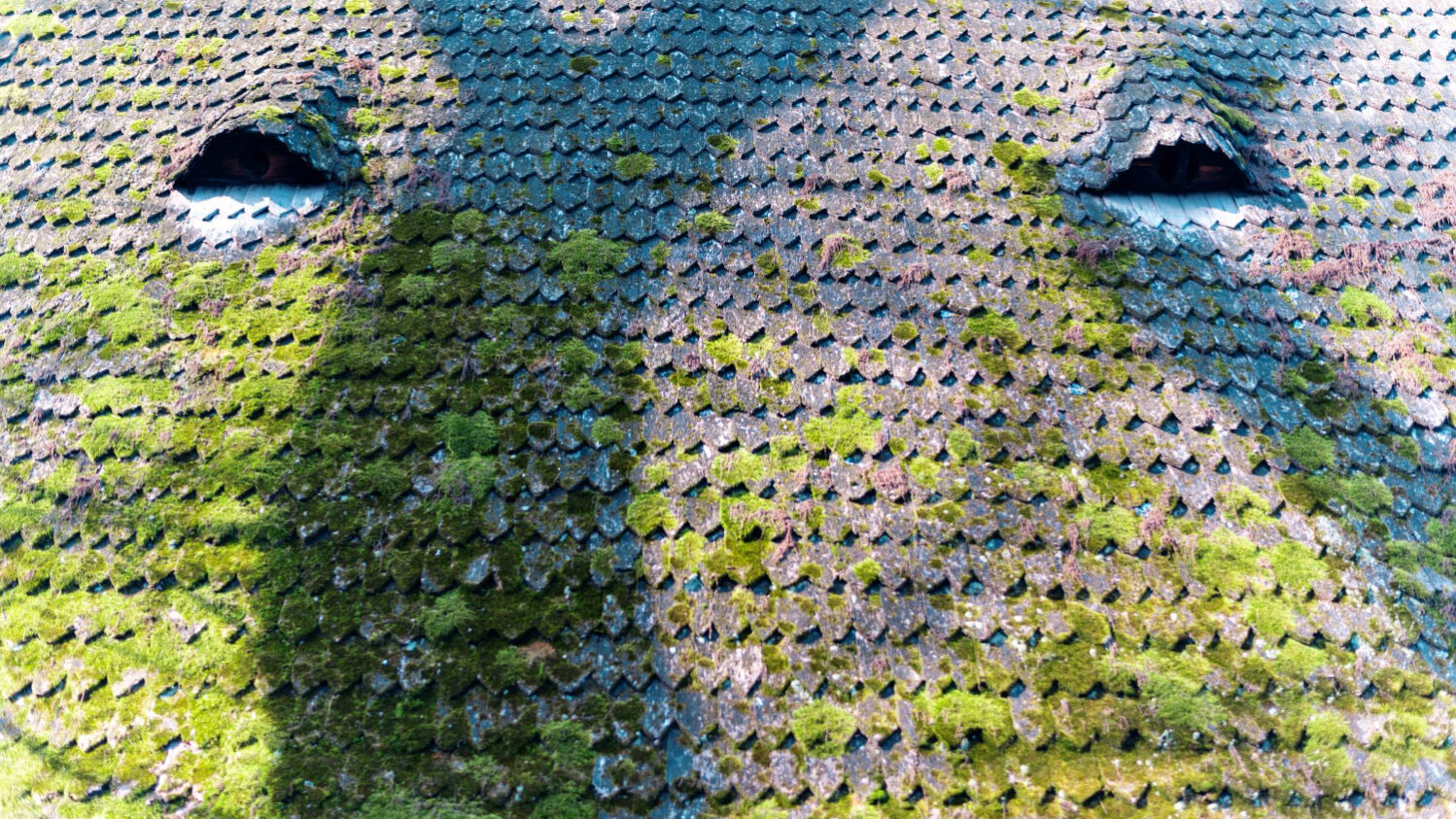 Roof mold prevention in coastal California home with FoamBond underlayment