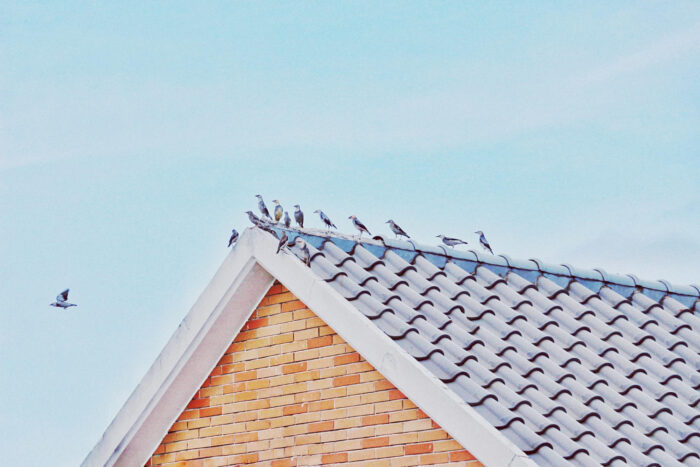 Solar shingles roofing integrated with spray foam roofing on a California home