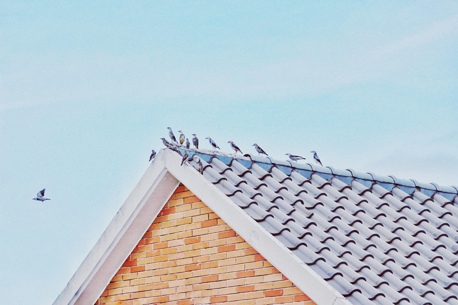 Solar shingles roofing integrated with spray foam roofing on a California home